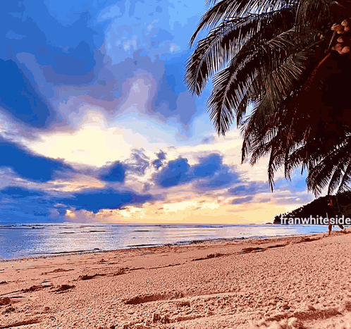 Good Morning Beach GIF