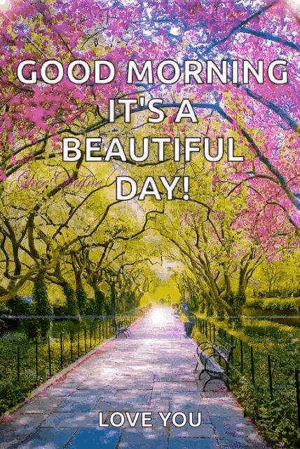 Good Morning Beautiful Day GIF