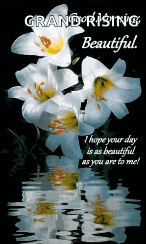 Good Morning Beautiful GIF