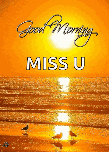 Good Morning Bird GIF