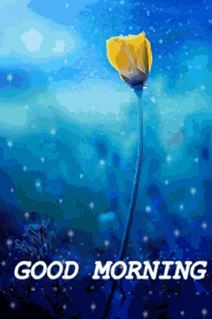 Good Morning Blessed Day GIF