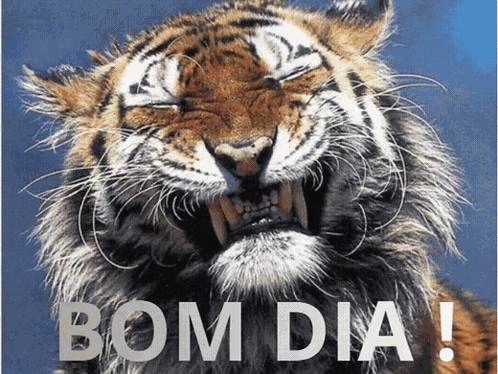 Good Morning Bom Dia GIF