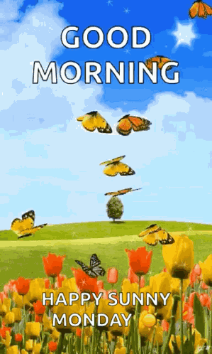 Good Morning Butterflies GIF