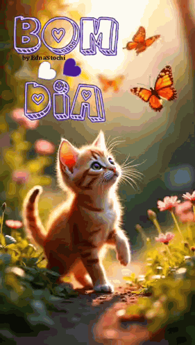 Good Morning Cat GIF