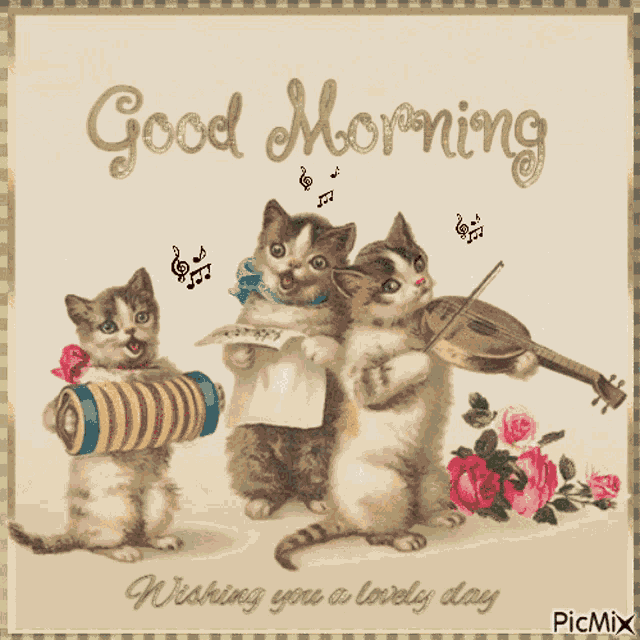 Good Morning Cat GIF
