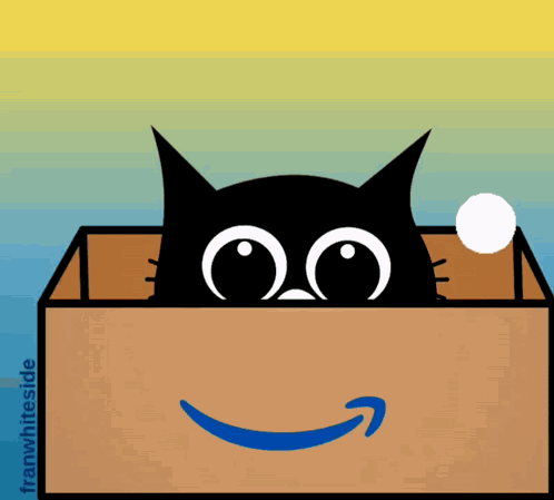 Good Morning Cat In Box GIF