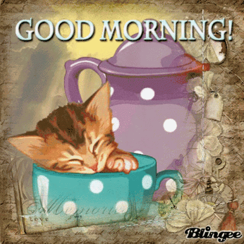 Good Morning Cat GIF