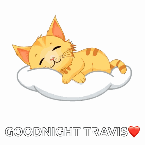 Good Morning Cat Sleep GIF