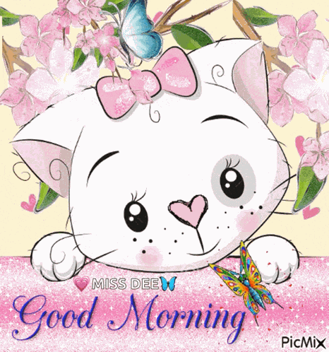 Good Morning Cat GIF