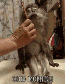 Good Morning Coffee GIF