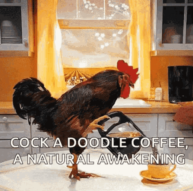 Good Morning Coffee Time GIF