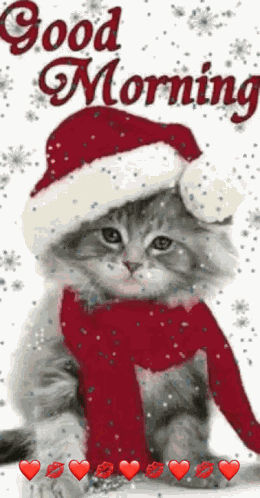 Good Morning Cute Gif GIF