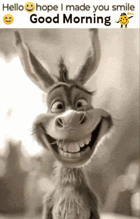 Good Morning GIF