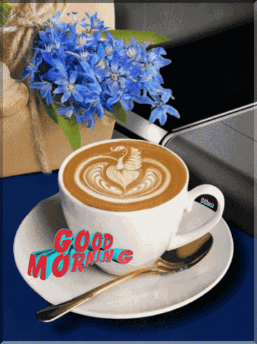 Good Morning GIF