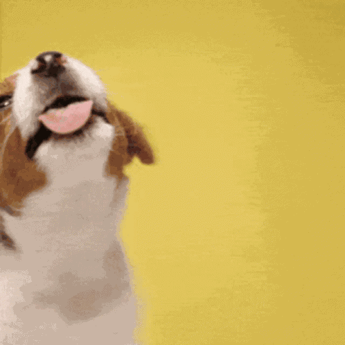 Good Morning GIF