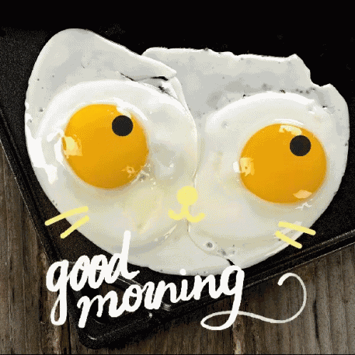 Good Morning Eggs GIF