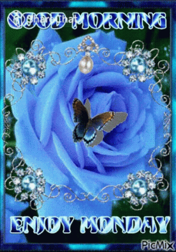 Good Morning Enjoy Monday GIF