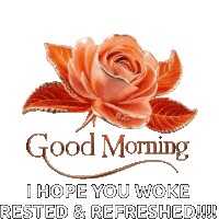 Good Morning Sticker