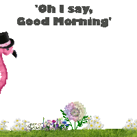 Good Morning Flamingo Sticker