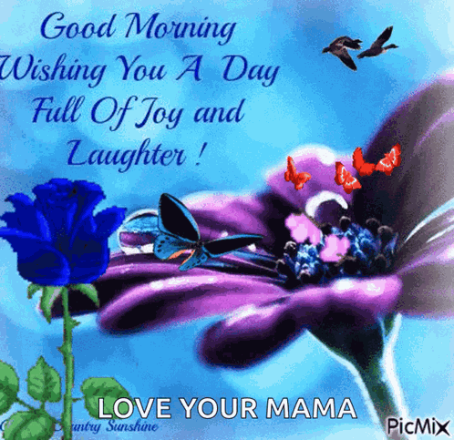 Good Morning Flower GIF