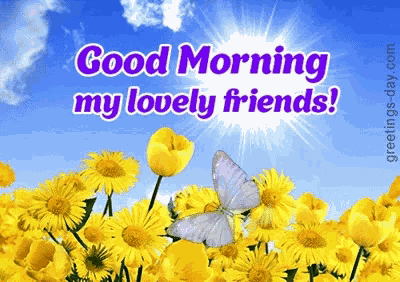 Good Morning Friend Flowers GIF