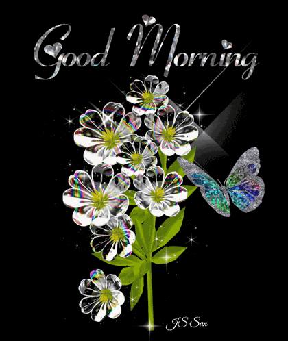 Good Morning Gif Good Morning Friends GIF
