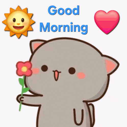 Good Morning Goma Peach GIF