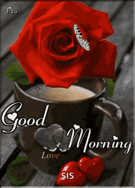Good Morning Good Day GIF
