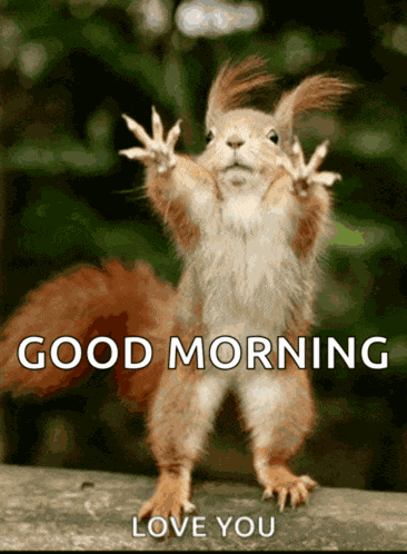 Good Morning Good Morning Funny Meme