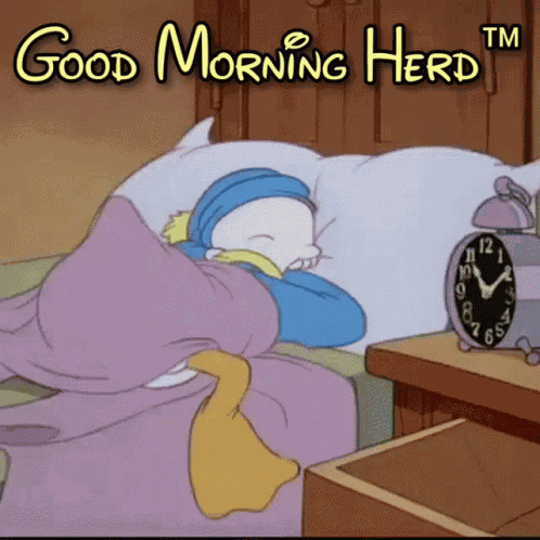 Good Morning Good Morning Herd GIF