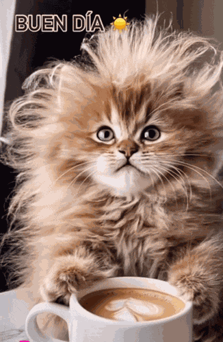 Good Morning Good Morning Kiss Meme