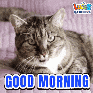 Good Morning Good Morning Love GIF