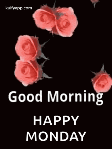 Good Morning Good Morning Wishes GIF