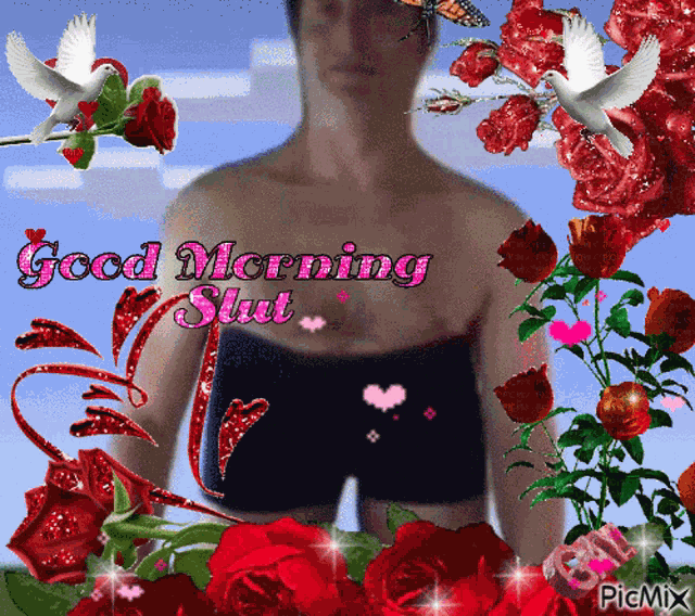 Good Morning Good Night GIF