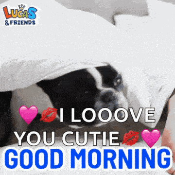 Good Morning Goodmorning GIF