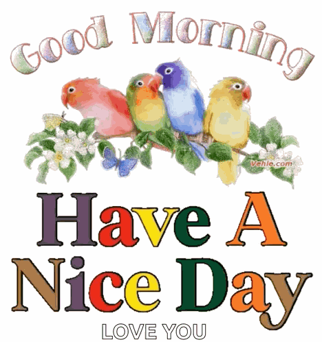 Good Morning Goodmorning GIF
