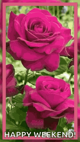 Good Morning Great Day GIF