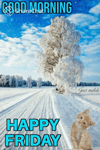Good Morning Happy Friday GIF