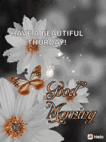 Good Morning Happy Morning GIF