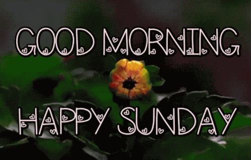 Good Morning Happy Sunday GIF