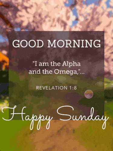 Good Morning Happy Sunday Meme