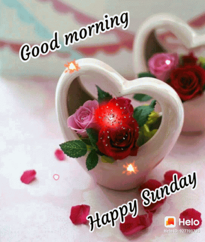 Good Morning Happy Sunday GIF