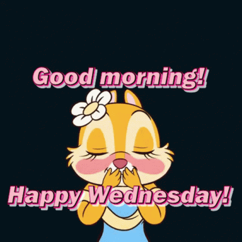 Good Morning Happy Wednesday GIF