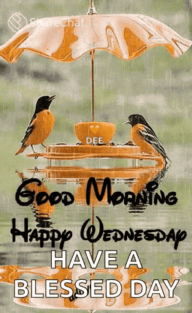 Good Morning Happy Wednesday GIF