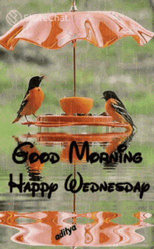 Good Morning Happy Wednesday GIF