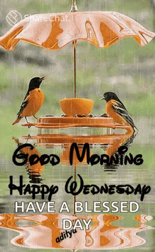 Good Morning Happy Wednesday GIF
