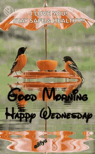 Good Morning Happy Wednesday GIF