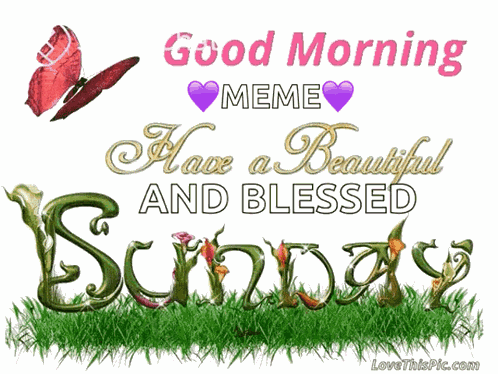 Good Morning Have A Beautiful Sunday GIF