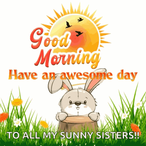 Good Morning Have A Good Day GIF
