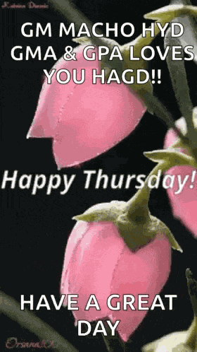 Good Morning Have A Great Day GIF